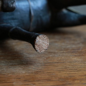 手放したくないほど美しい馬 16