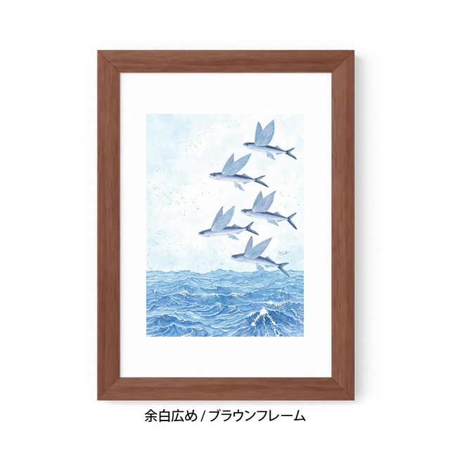 A5｜魚翔海図（ぎょしょうかいず）（フレームあり）