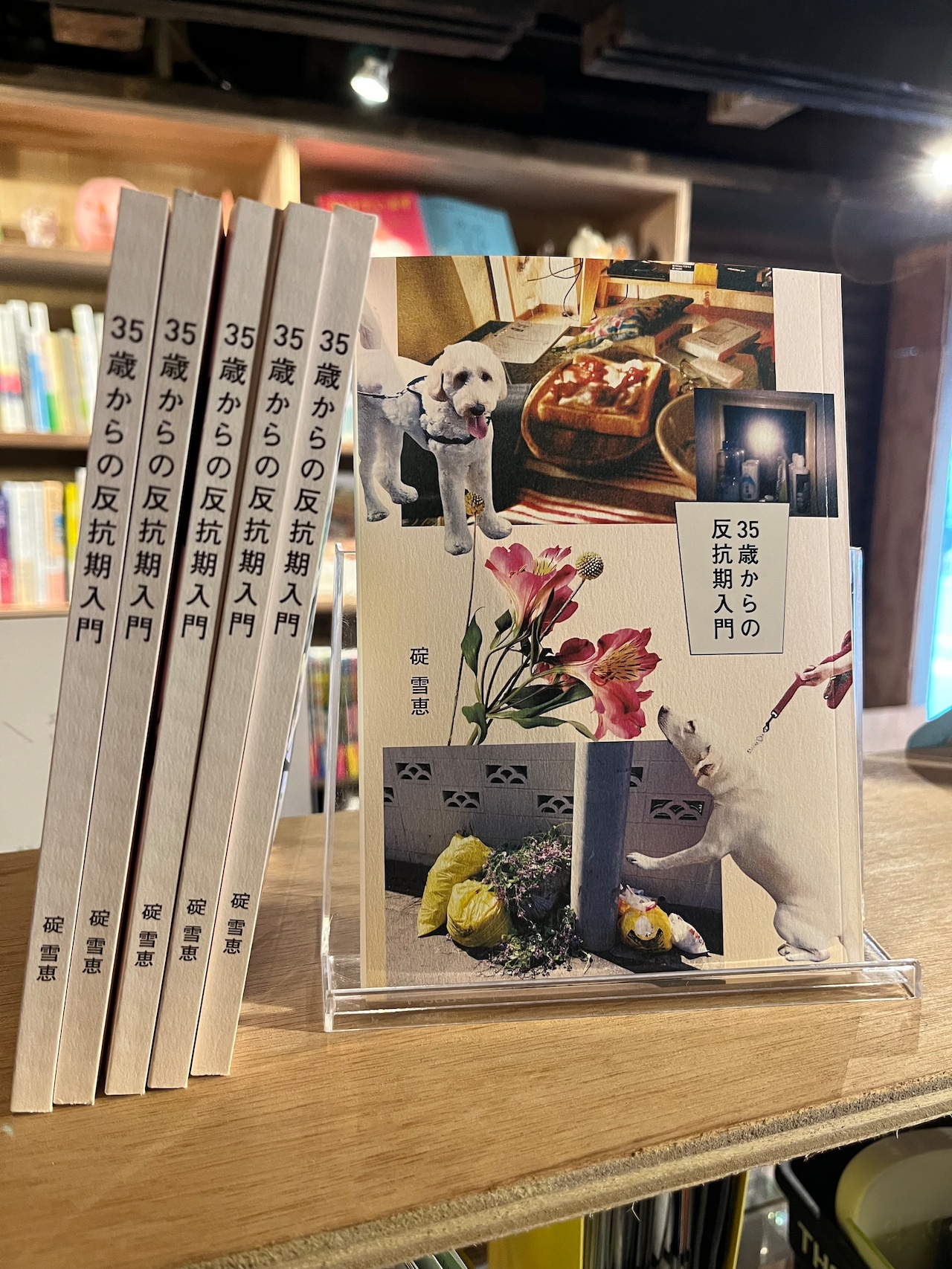 35歳からの反抗期入門