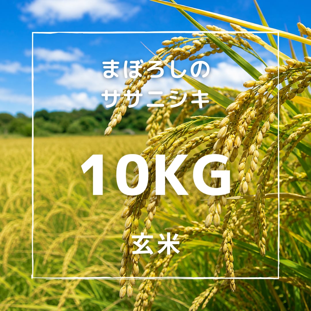 R8年産 まぼろしのササニシキ 玄米 10kg