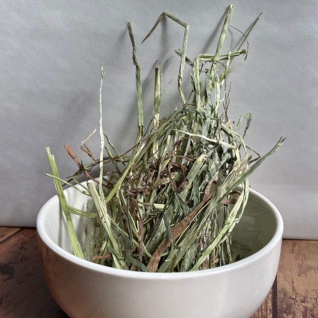 2025年刈取り　プレミアムグレード　カナダ産（ドライランドエリア）チモシー　500g