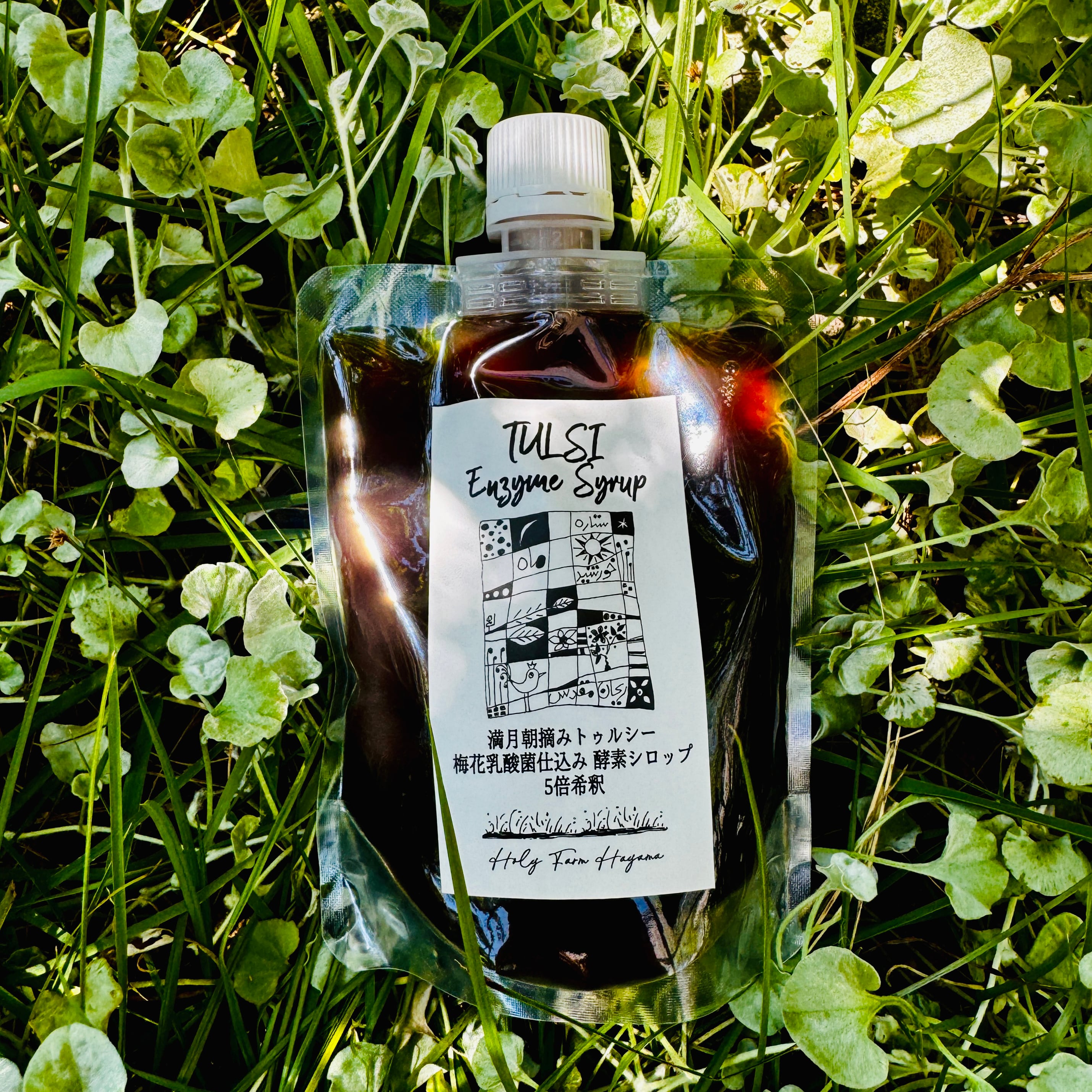 Tulsi Enzyme Syrup 朝摘みTuli 梅花乳酸菌仕込み発酵シロップ(5倍希釈)/ HOLYFARM HAYAMA