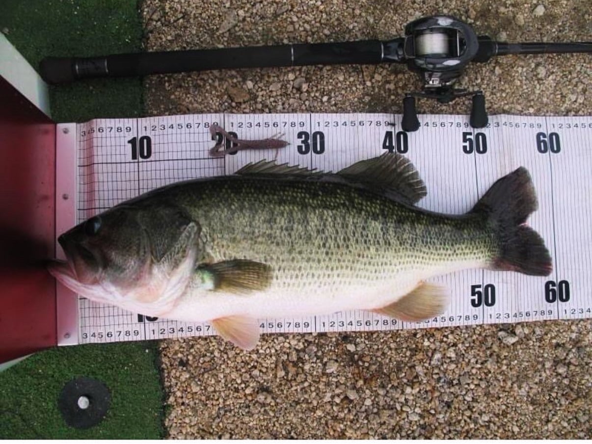 valleyhill / トルピード | ルアーショップB－FARM