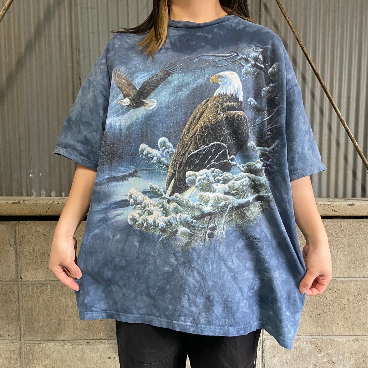 ビッグサイズ USA製 90年代 THE MOUNTAIN イーグル 鷲 アニマル  