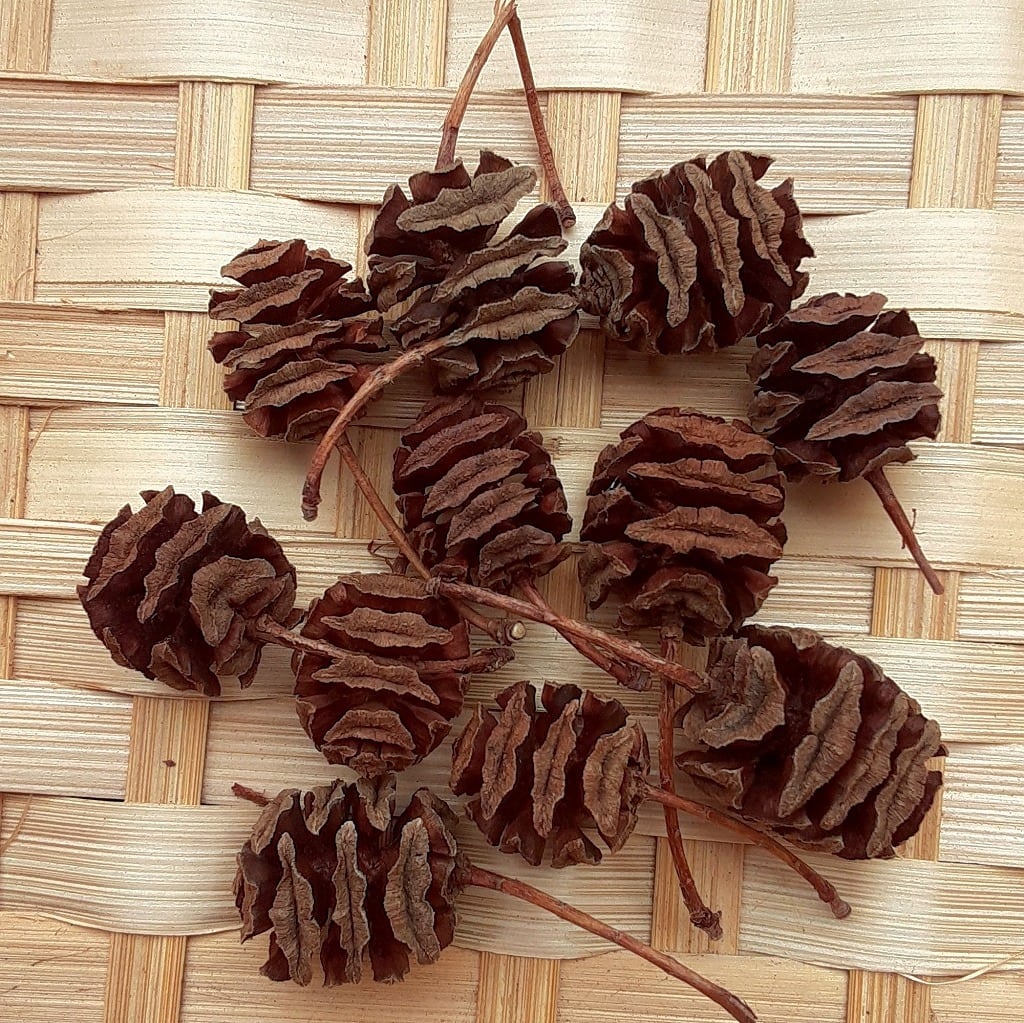 8650eb18fde7c90117e87de13a9b02