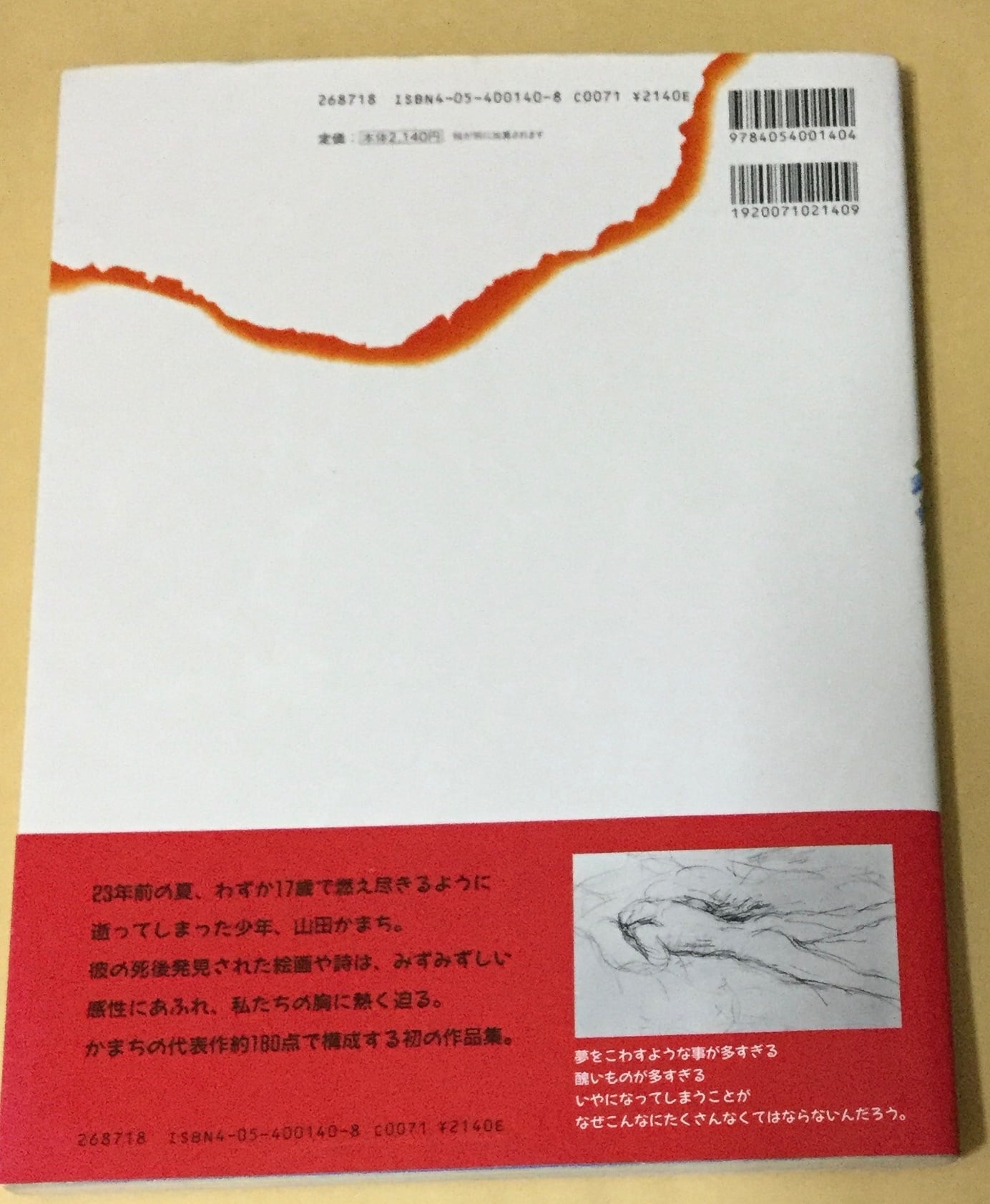 青い炎 山田かまち作品集 | 絵本 雲龍