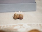 肩を組んだ双子ビスクドール　ガーゼの袋入り 画像11