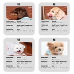 【puppygallery公式】    Cozy bunny all-in-one   4XL-5XL