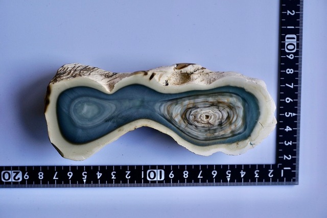 ロイヤルインペリアルジャスパー　Royal Imperial Jasper 15