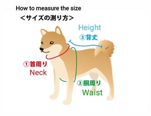 <サイズの見方・鯉口シャツの詳細>How to measure size &details of Koiguchi shirt