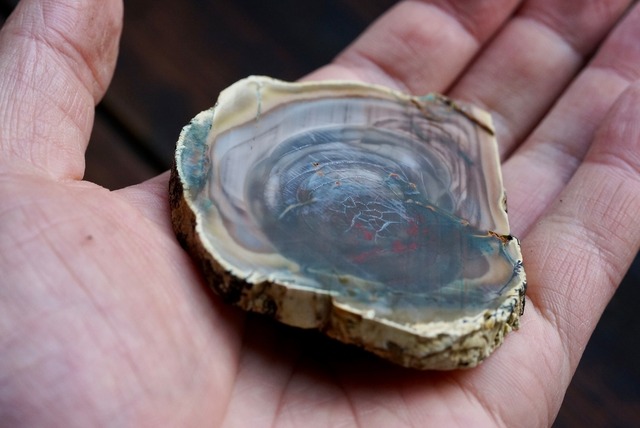 ロイヤルインペリアルジャスパー　Royal Imperial Jasper ①