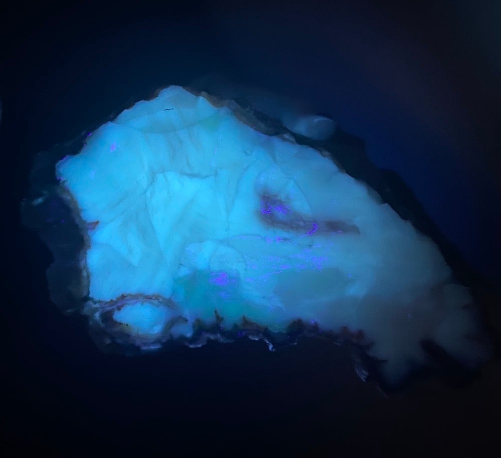 お客様専用】超特大！オパール化！珪化木 ペトリファイドウッド 3300g