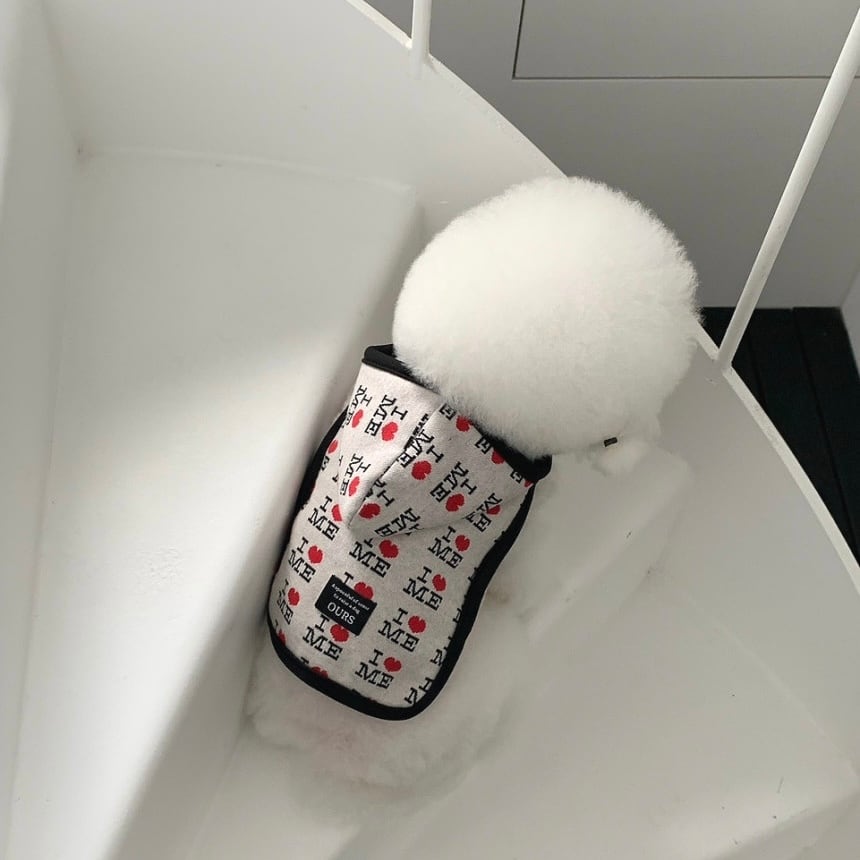 韓国犬服ブランド　ours. 保冷お散歩バッグ ours,】当店限定ブランド | ropet