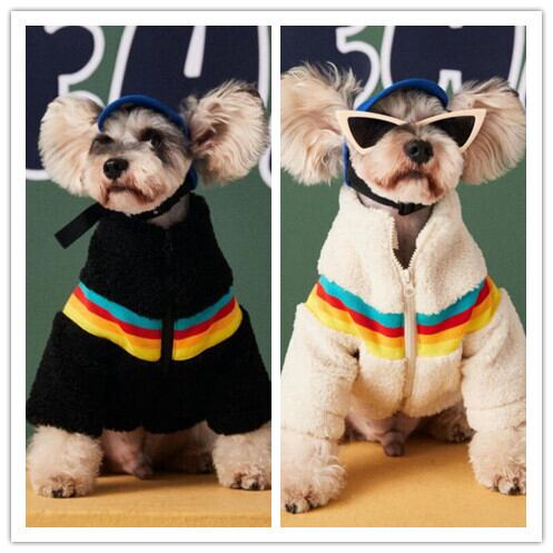 《予約》№1102549 レインボーラインボア チャックジャケット