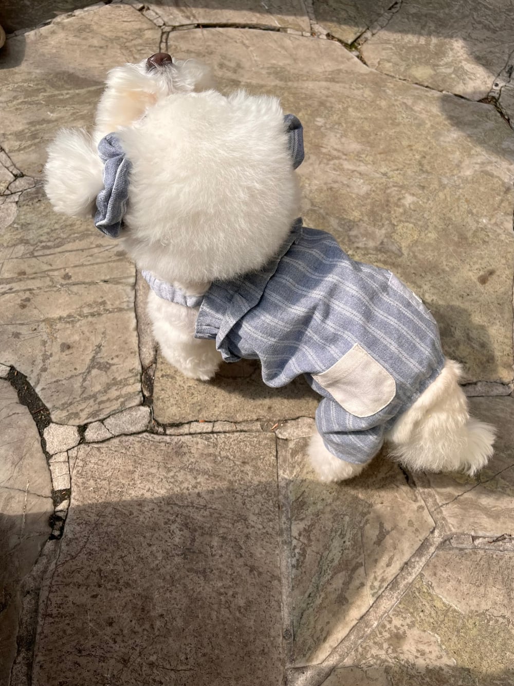 予約【Hi Yeboo】Alice Collection Romper (Blue Stripe)