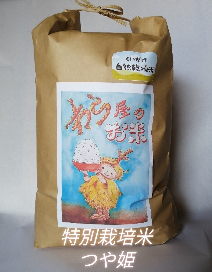 令和7年長野県上田市産 コシヒカリ10kg | Pay ID