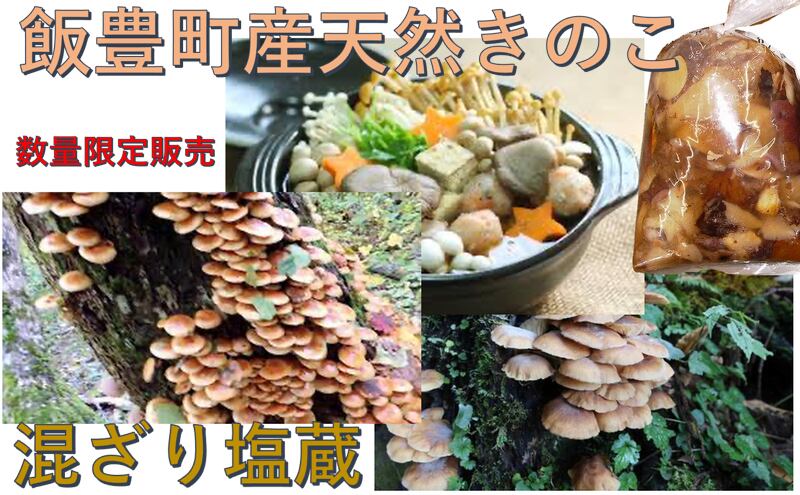 送料無料　天然山菜　きのこ　山形県産天然キノコ　自然の恵み　こだわり市場　予約販売　混ざり塩蔵１ｋｇ