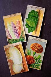 20s フランス 4set 膨満な花々と野菜たち 種子袋用ラベルx アンティーク