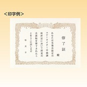 コクヨ(KOKUYO) 賞状用紙 OA対応 A4 タテ書き カ-SJ114