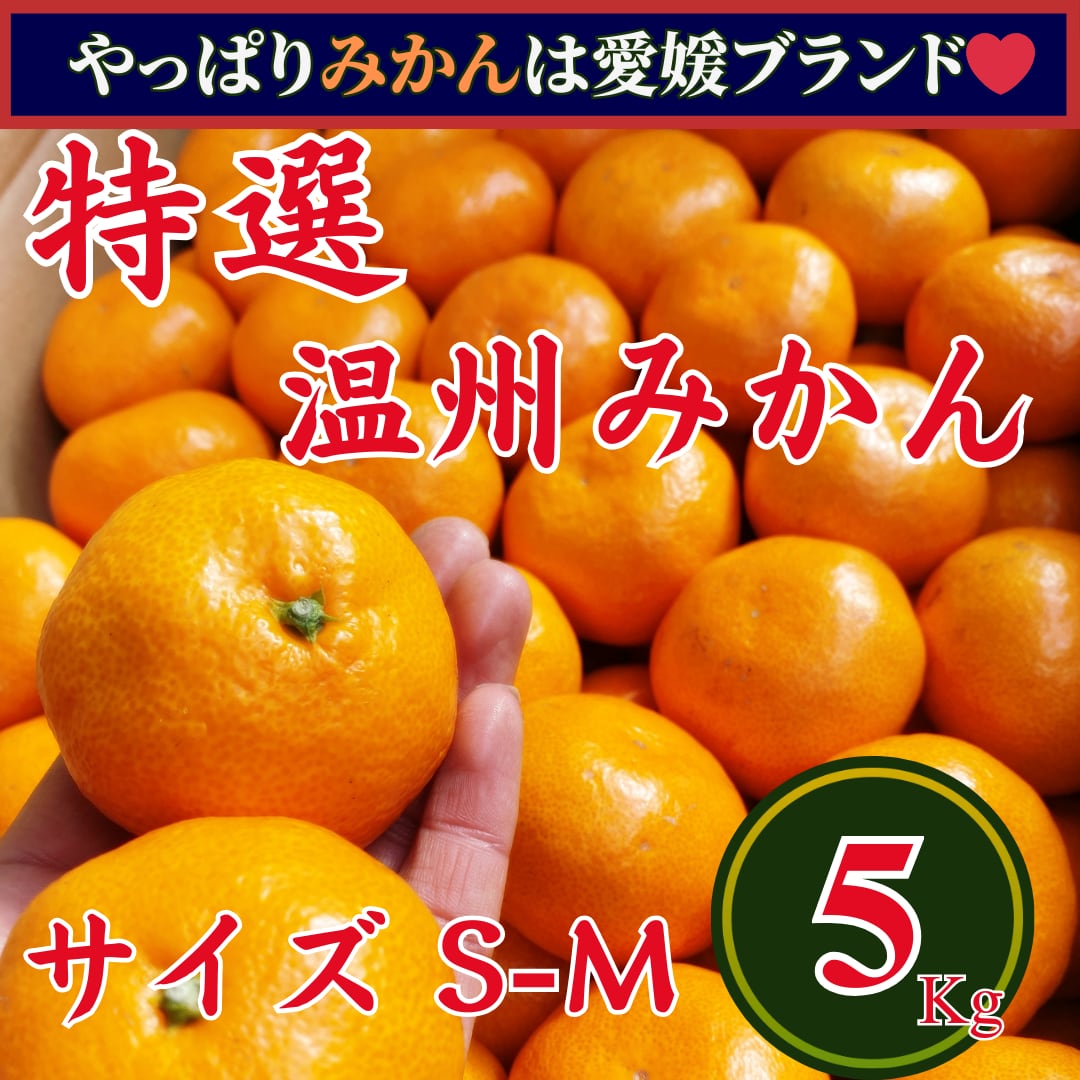 特選 愛媛県産 早生みかん 5Kg | 八ツ星緑果