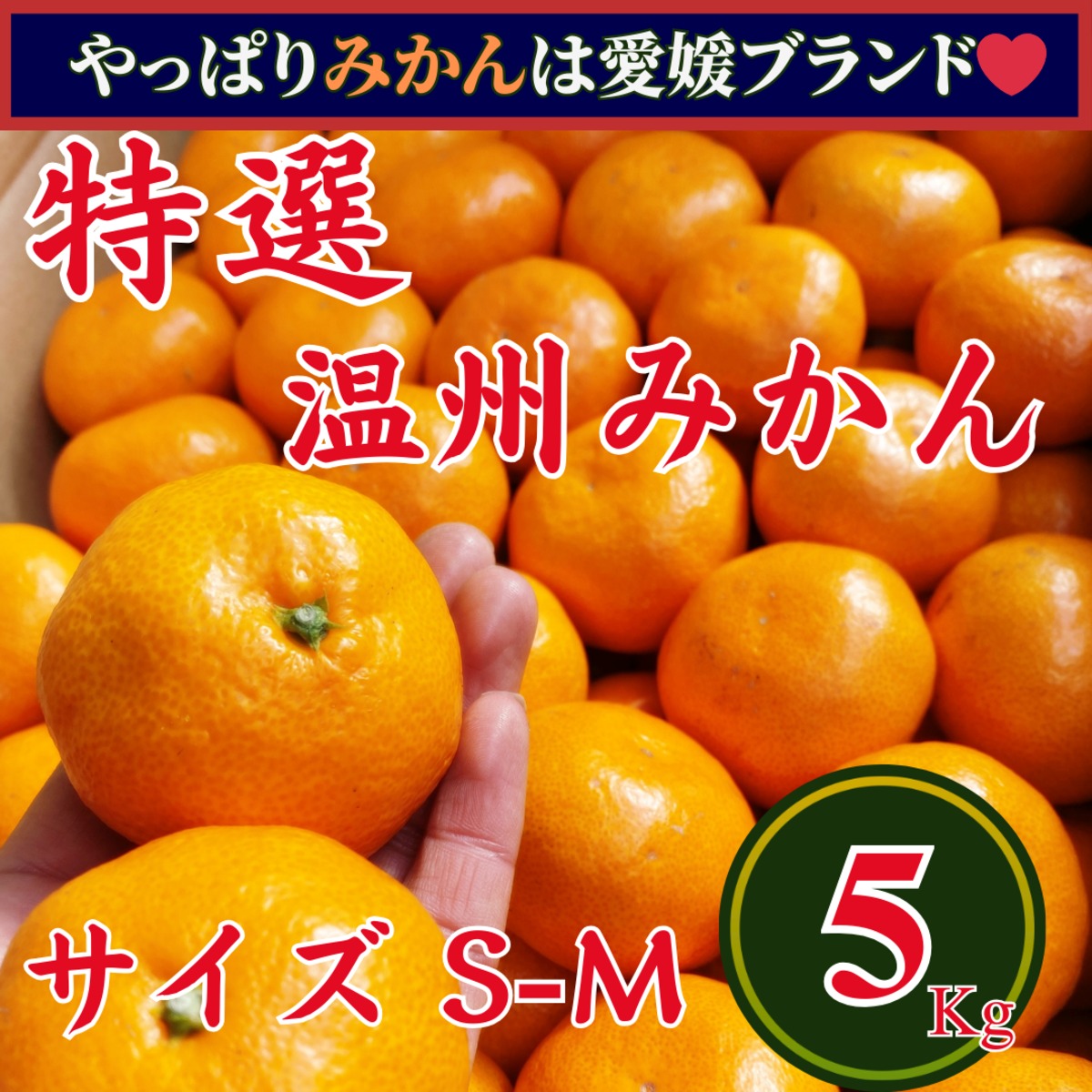 みみみかん　SVTまとめ売り 特選 愛媛県産 早生みかん 5Kg | 八ツ星緑果