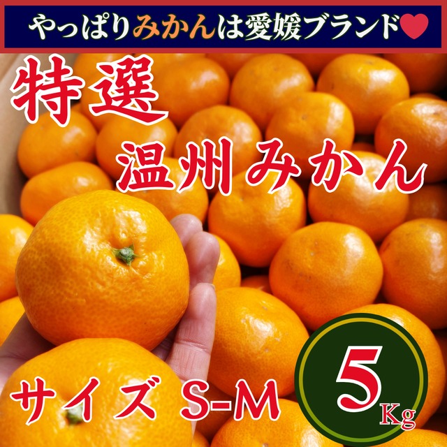 特選 愛媛県産 早生みかん 5Kg | 八ツ星緑果 特選 愛媛県産 早生みかん 5Kg | 八ツ星緑果