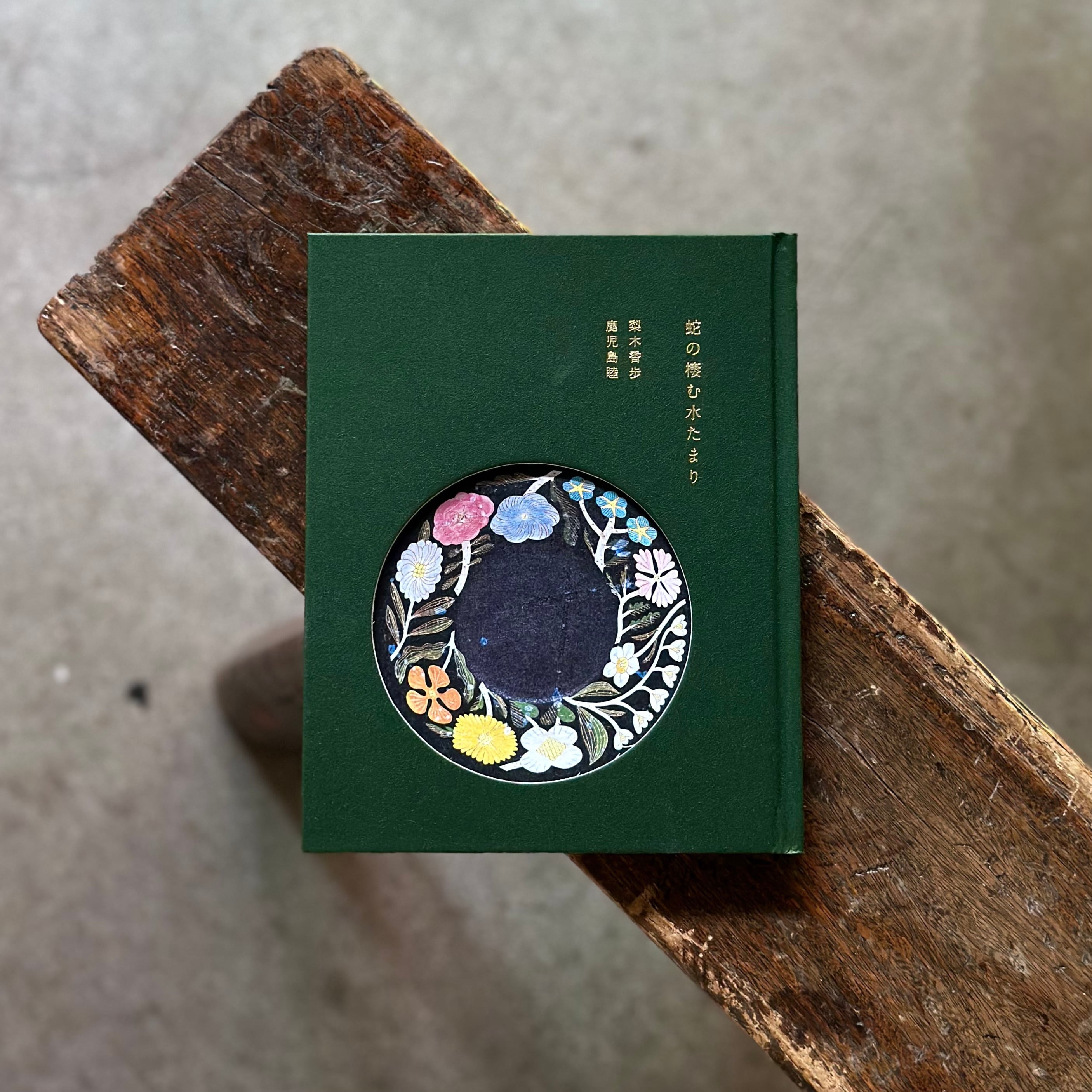 蛇の棲む水たまり