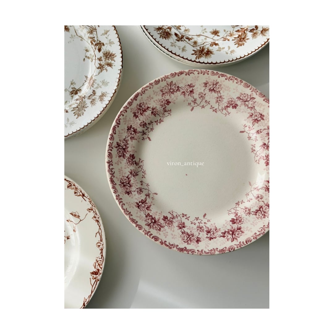 Choisy le roi ショワジールロワ / “ROYAN” 平皿プレート b