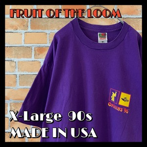 【FRUIT OF THE LOOM】90s オリジンズ ORIGINS 1996 バックプリント XXL Tシャツ