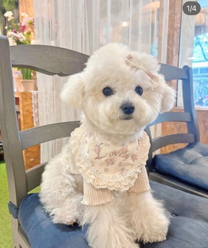 予約 【pecoramou select】Flower lovely bib