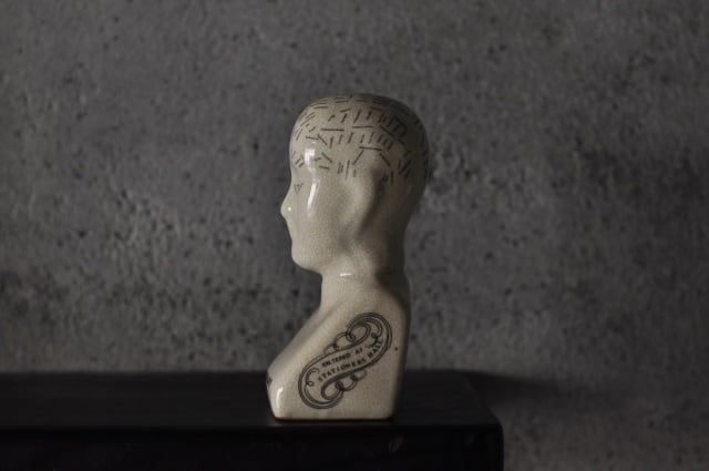 Phrenology Head2