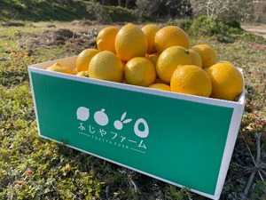 オーガニックレモン　5キロ（40-45個前後）