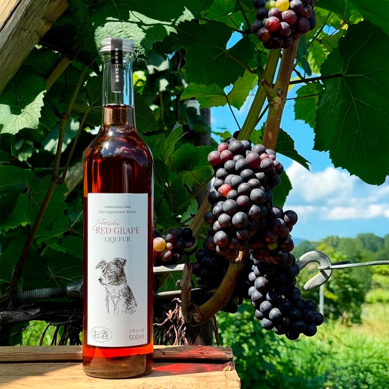 リキュール | NKGW FARM SHOP 中川農園
