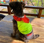 わんこ服小型犬用S "明るいグリーンのストレッチ布と赤い絹のバンダナふう襟”B-4