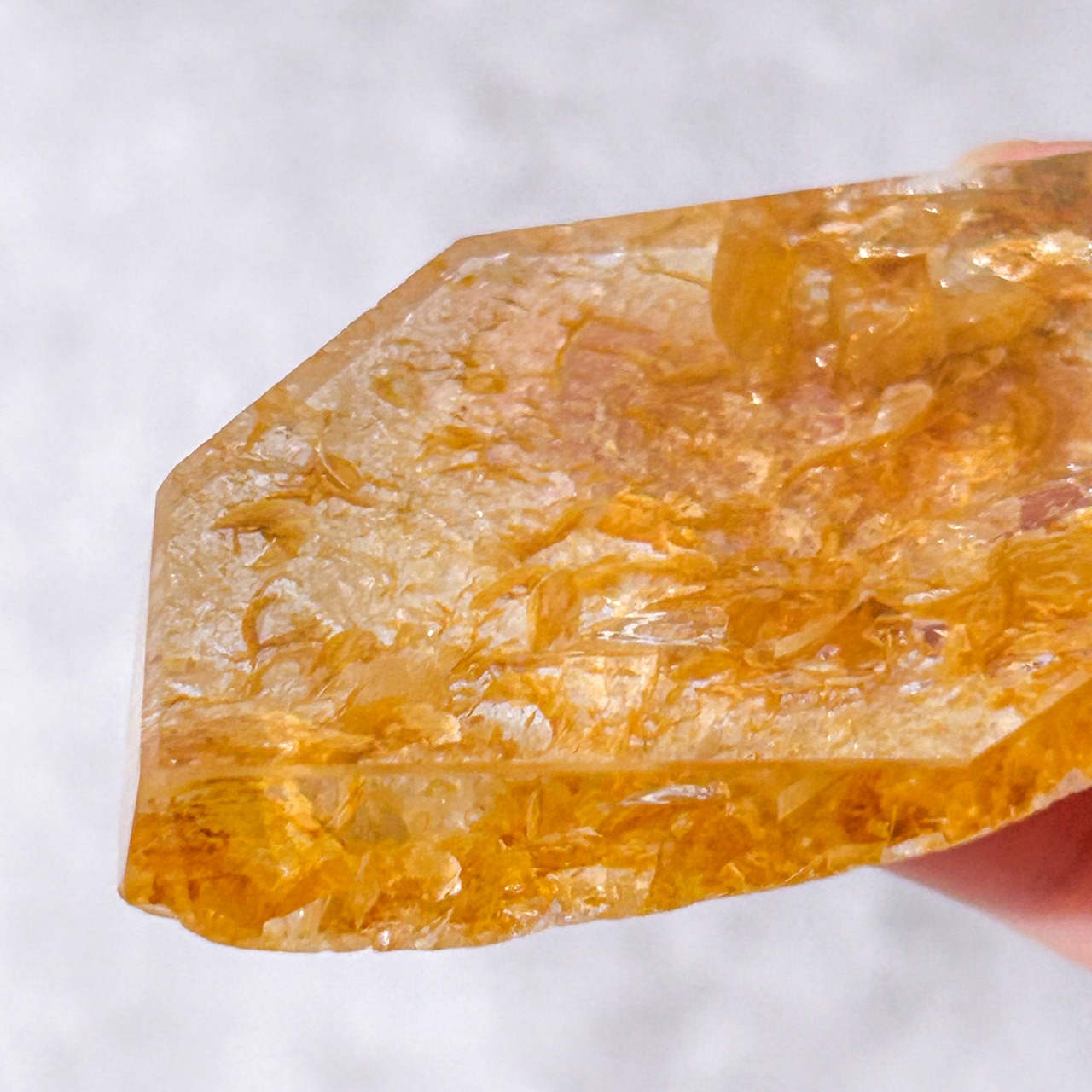 ゴールデンヒーラー スライス