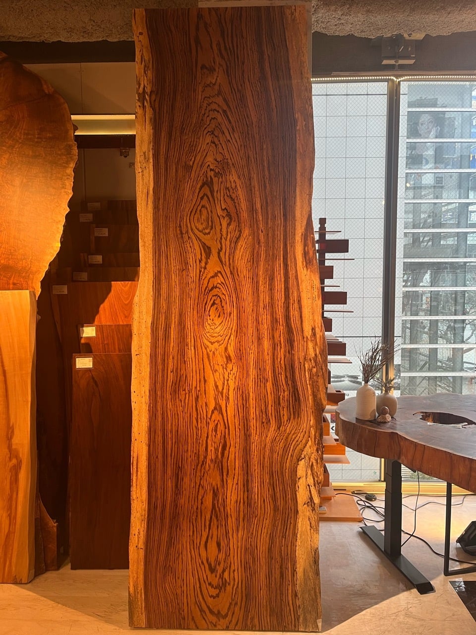 ゼブラウッド_3030×900-960-920×60_青山店_テーブル天板/一枚板 232138