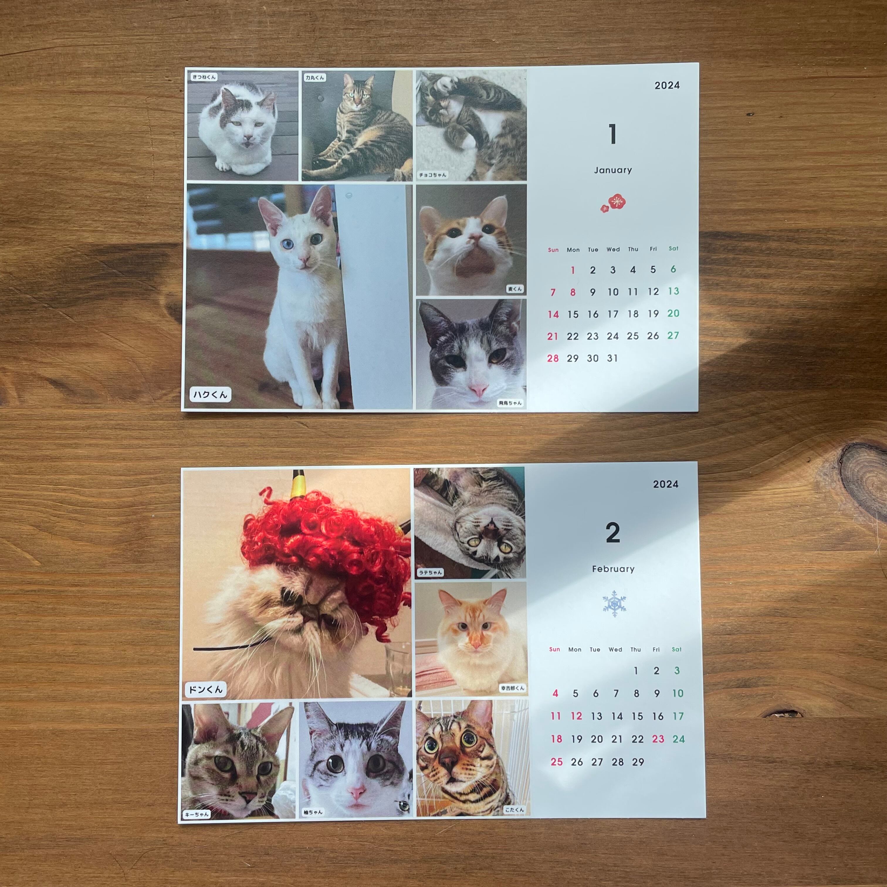 75にゃんカレンダー｜卓上〈2024〉猫 ネコ 猫カレンダー 猫柄 猫雑貨 卓上 ポストカードサイズ 保護活動支援 看板猫