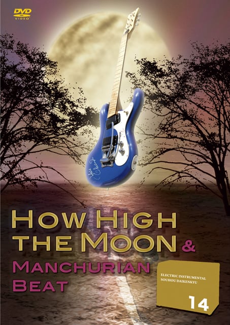 DV179 エレキインスト奏法大研究Vol.14 (ハウハイザムーン・さすらいのギター)