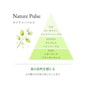 Nature Pulse｜フレグランスミスト 50ml
