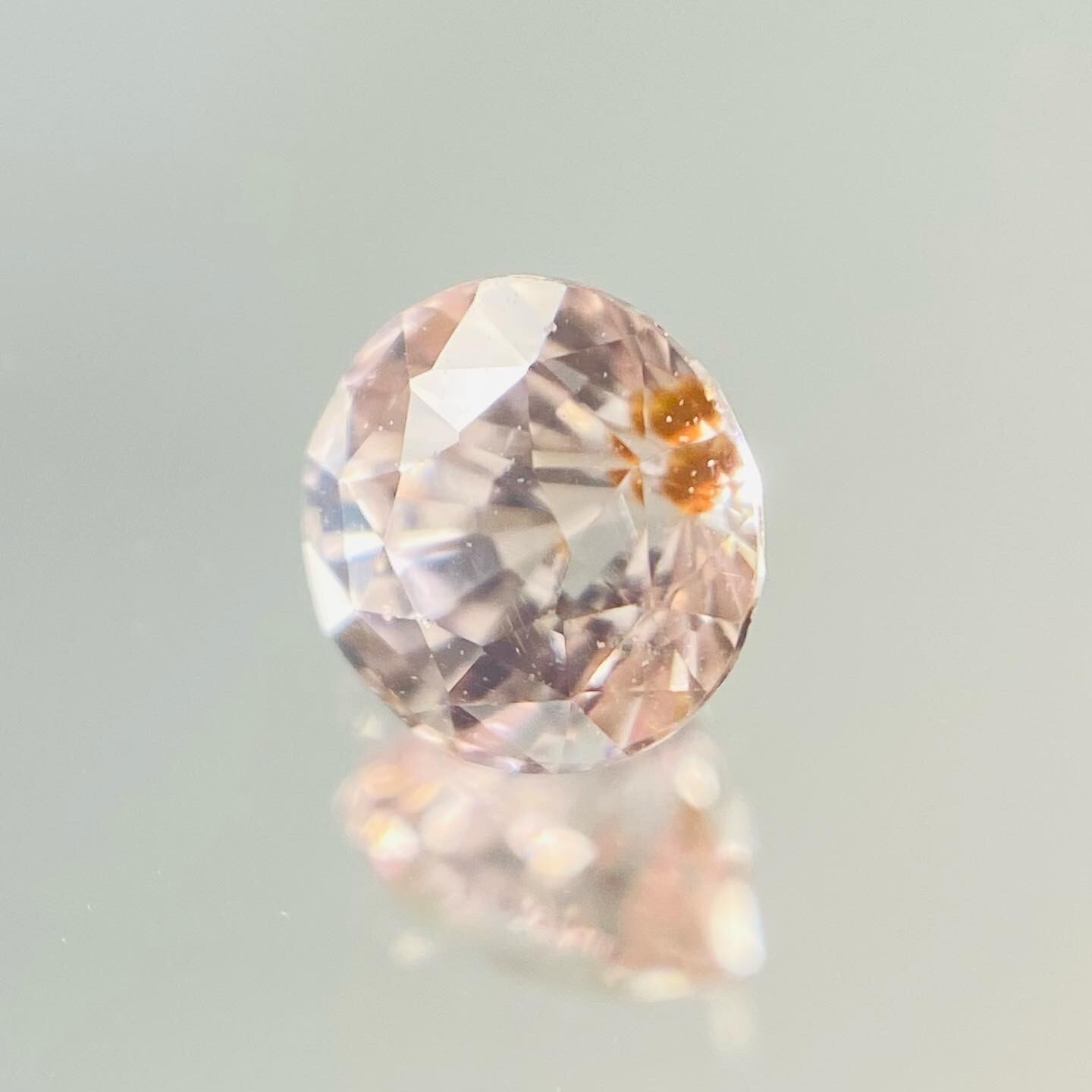 桜桜桜　サファイア