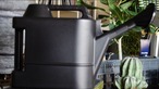 BOTANY watering can 5L