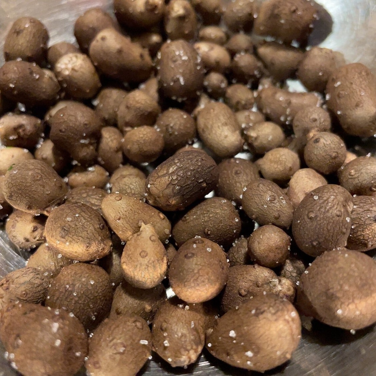 【鳥取県産】噛むほど旨い！むかご 500g 長芋 山芋