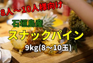 石垣島のスナックパイン9kg(8〜10玉)