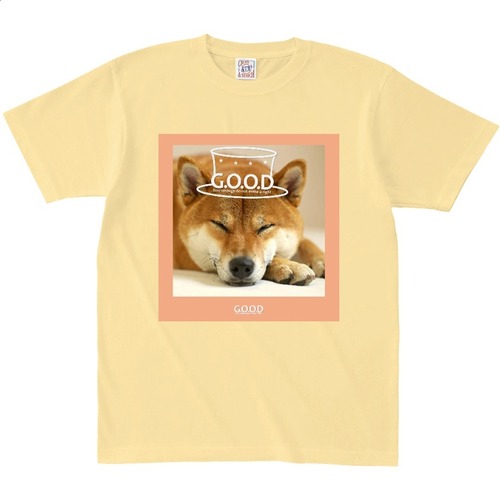 T-shirt x 344-R 画像