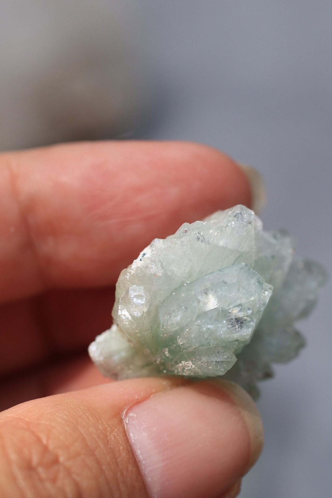 グリーンアポフィライト 「春の新芽」Green Apophyllite ◇ 天然石・鉱物・パワーストーン・原石 | st00357