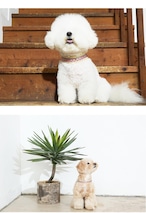 【PUPPYGALLERY公式】Vハーネス XL