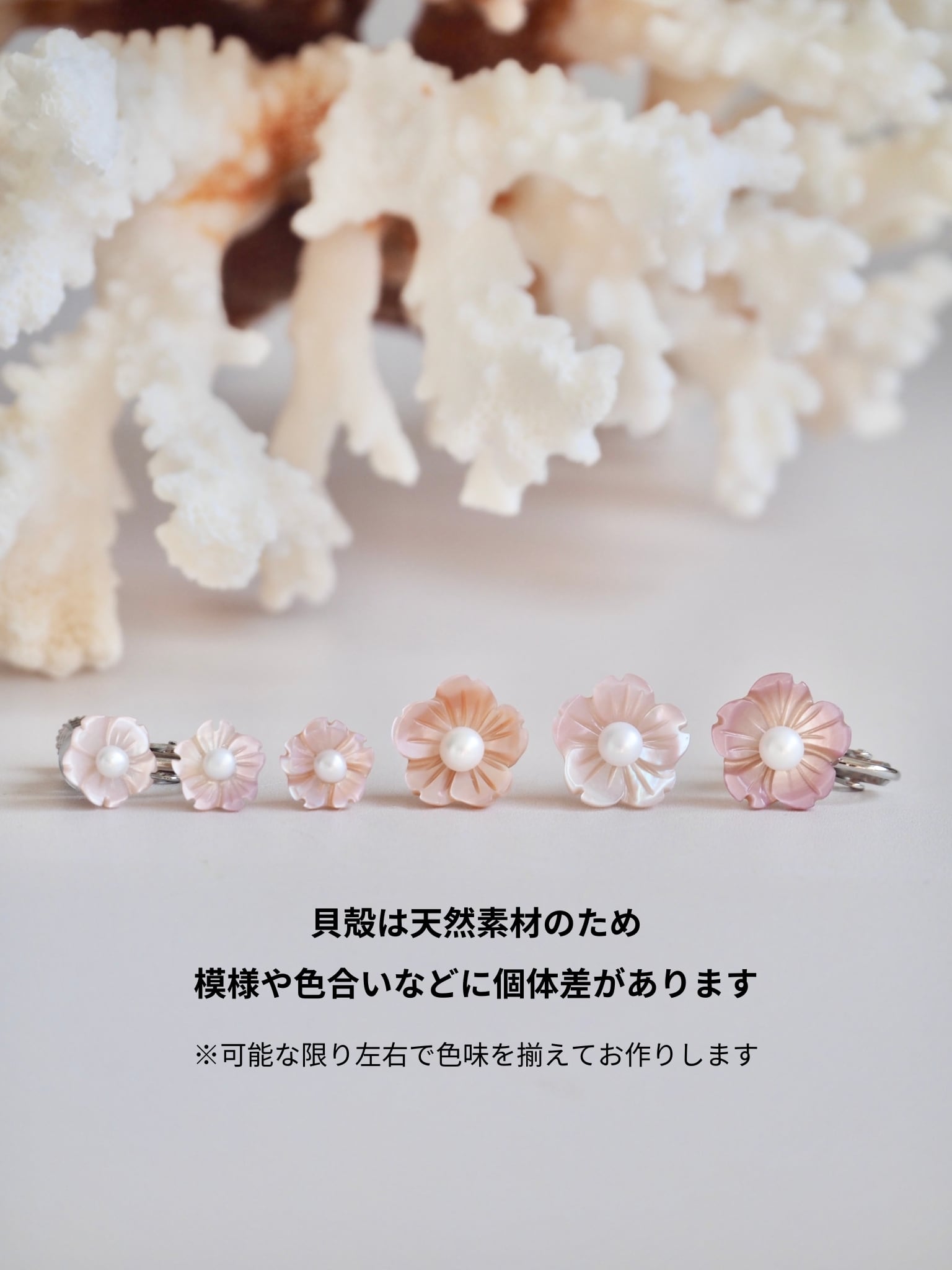 貝殻のサクラ 耳飾り（淡水真珠貝）両耳セット | 貝殻と人魚｜貝殻