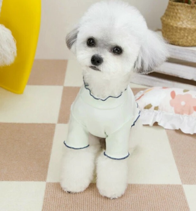 犬服  わんこ服　ペット服　犬用 春夏 ペット用品 BQ2686　Sサイズ