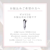 【2週間前後でお届け】ZERU V2 スタートセット