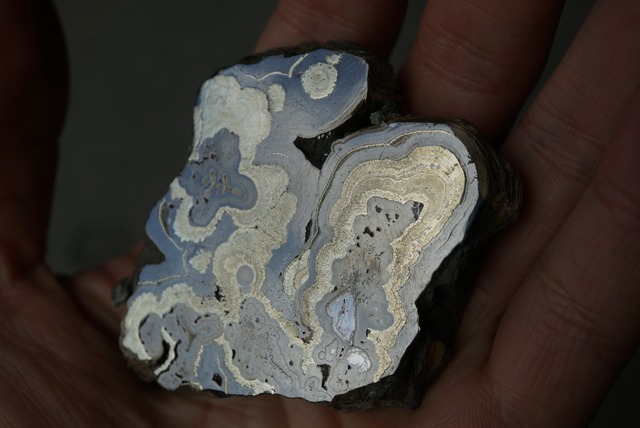 ポーランド産シャーレンブレンド Schalenblende 1883